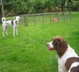 click for a larger view